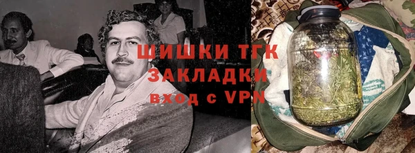 молекула духа Каменск-Шахтинский