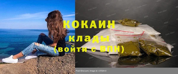 спайс Инсар