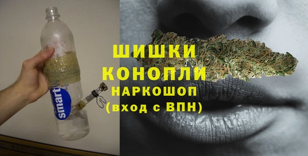 спайс Инсар