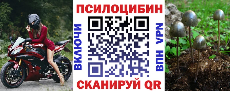 Купить закладки  Заринск  Галлюциногенные грибы Psilocybine cubensis 